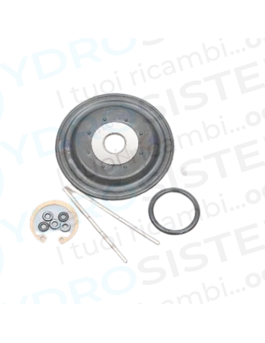 Manutenzione Valvola Deviatrice Pressostatica