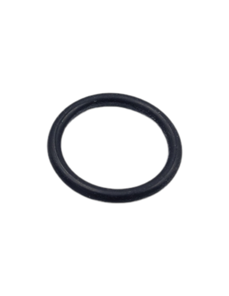 O-Ring per Scambiatore Bitermico Condensante D17.86-S2.62 EPDMVedi Cod: 3.018189