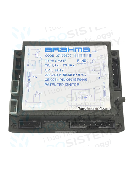 Quadro Brahma cm 31F