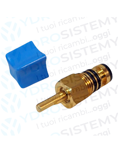 Rubinetto Riempimento   Vedi Cod: 4365179, CF300166