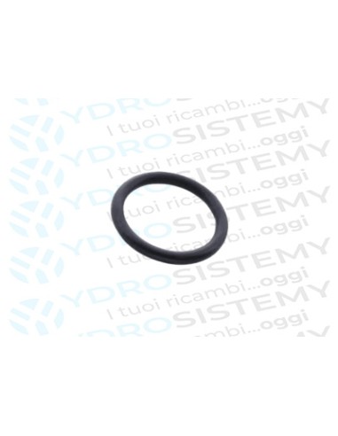 Guarnizione O-Ring 17,9x2,6 mm