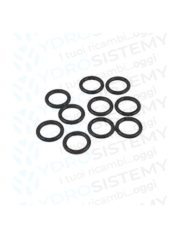 Guarnizione O-Ring Baxi 9.19X2.62