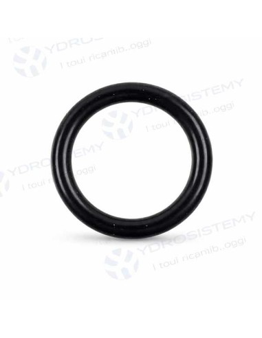 Guarnizione O-Ring Savio/Biasi 2,62X13,95 EPDM