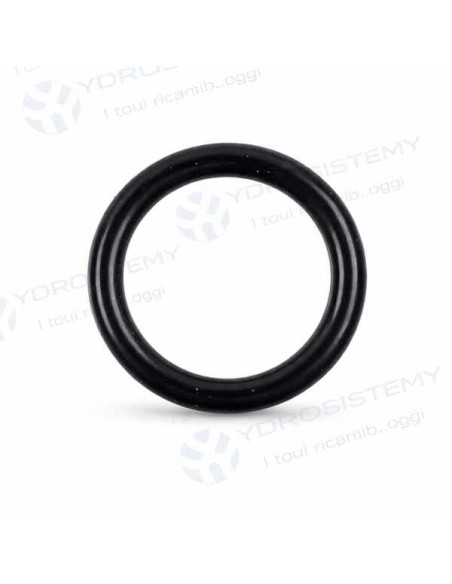 Guarnizione O-Ring Savio/Biasi 2,62X13,95 EPDM