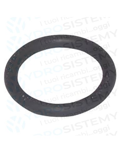 Guarnizione O-Ring Scambiatore