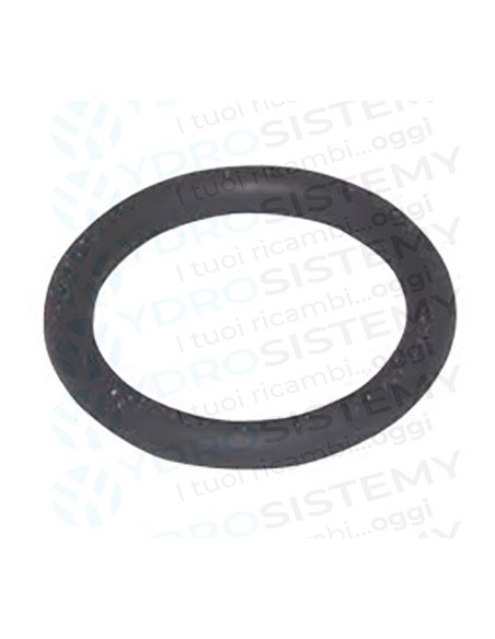 Guarnizione O-Ring Scambiatore