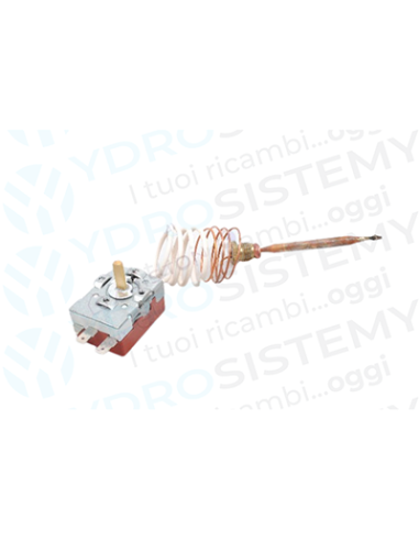 Termostato Sanitario   Vedi Cod: R4885, 4363326