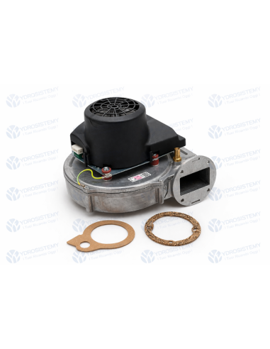 Ventilatore Estrattore Fumi RG148/1200 33/44/R Ariston Vedi Cod: 39830370