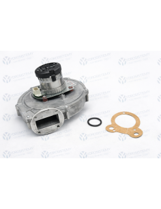 Ventilatore Estrattore Fumi RG148 1200 3633  Vedi Cod: 20116231