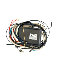 Kit Scatola Elettrica + Cablaggio 11(39444690)