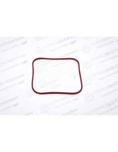 Guarnizione Per Scambiatore Condensante Inox