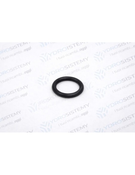 Guarnizione O-Ring 4075D18,64X3,53/SC