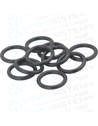 Kit n. 10 Guarnizioni O-Ring Scambiatore