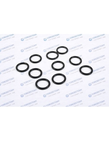 Kit n. 10 Guarnizioni O-Ring Scambiatore BerettaVedi Cod: 4364282