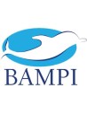 Bampi